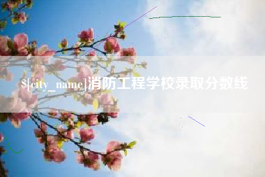 弥勒消防工程学校录取分数线