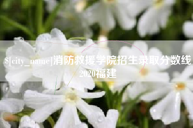 弥勒消防救援学院招生录取分数线2020福建