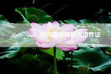 弥勒消防证国网查询操作证