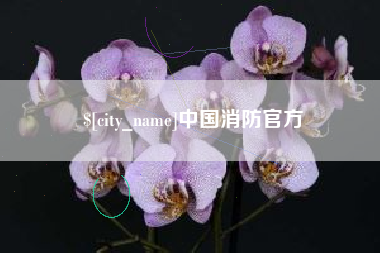 弥勒中国消防官方