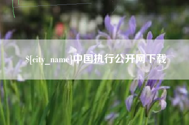 弥勒中国执行公开网下载