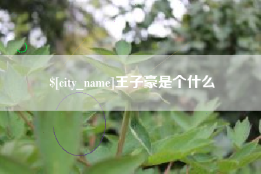 弥勒王子豪是个什么