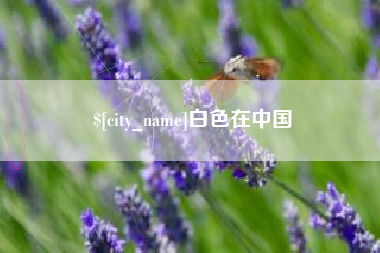 弥勒白色在中国