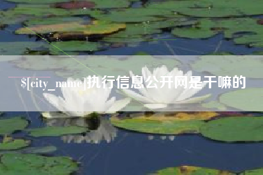弥勒执行信息公开网是干嘛的