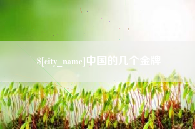 弥勒中国的几个金牌