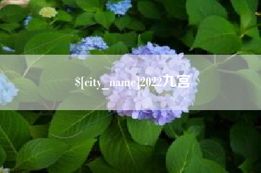 弥勒2022九宫
