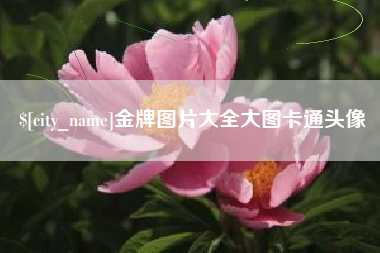 弥勒金牌图片大全大图卡通头像