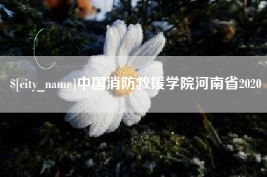 弥勒中国消防救援学院河南省2020